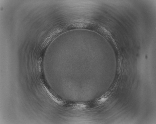 X0000057080114200509161614