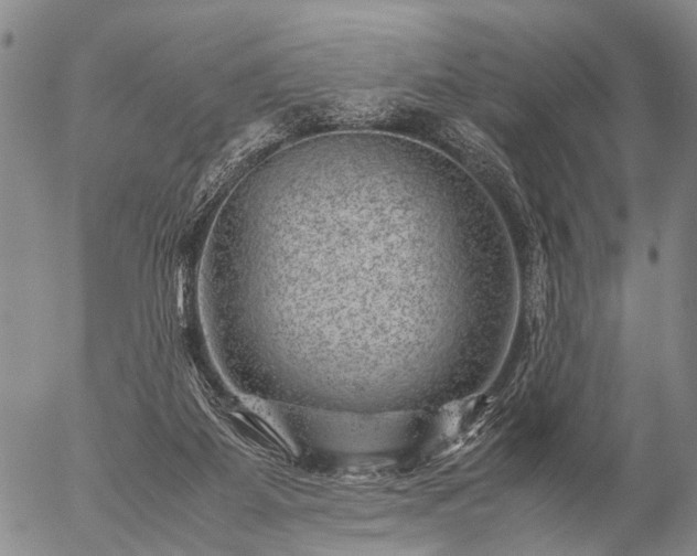 X0000057080115200509161614