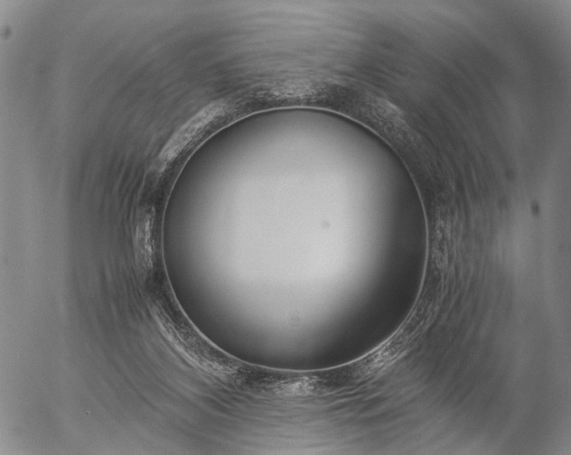 X0000057080116200509161614