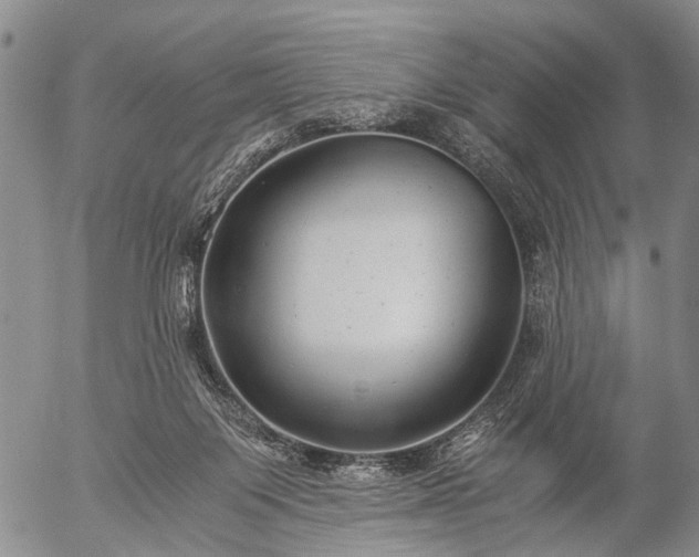 X0000057080119200509161614