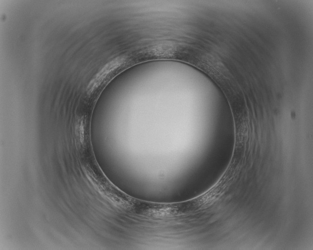 X0000057080120200509161614