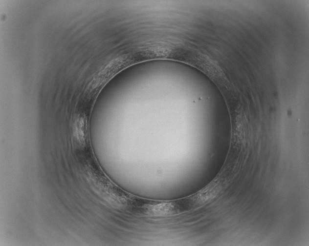 X0000057080122200509161614