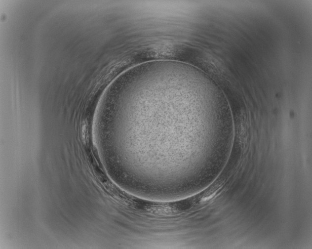 X0000057080123200509161614