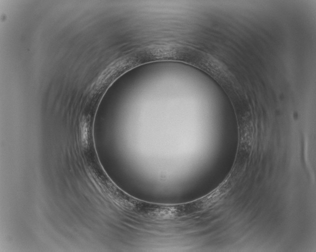 X0000057080124200509161614