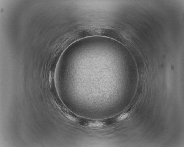 X0000057080125200509161614