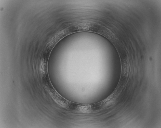 X0000057080126200509161614