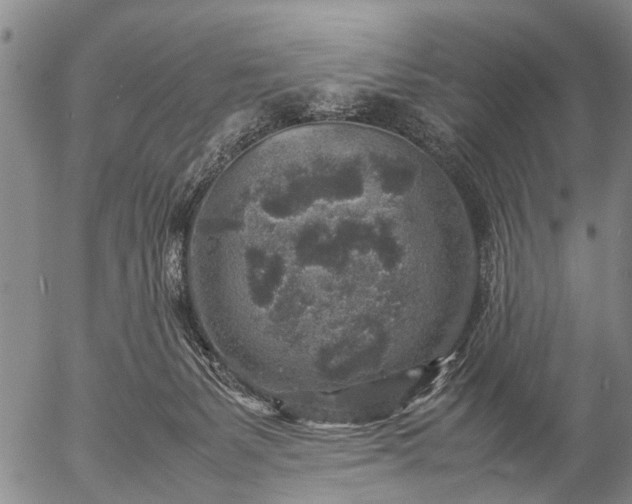 X0000057080127200509161614