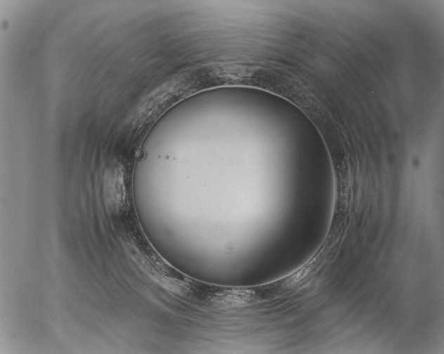 X0000057080128200509161614