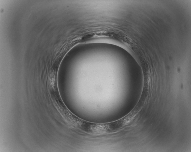 X0000057080129200509161614