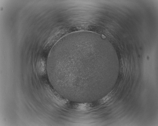 X0000057080130200509161614