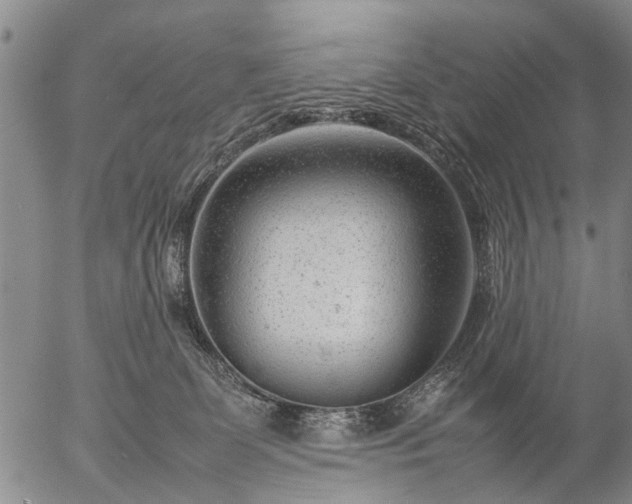 X0000057080131200509161614