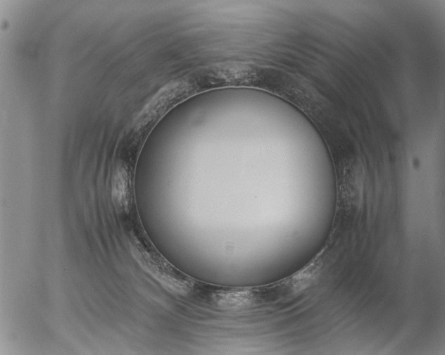 X0000057080132200509161614