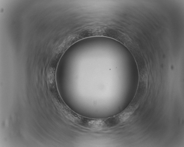 X0000057080133200509161614