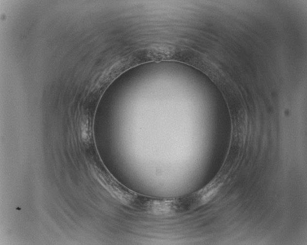 X0000057080134200509161614