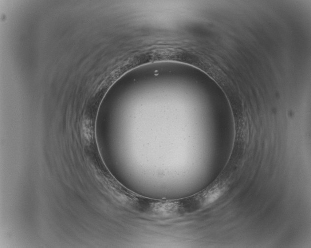 X0000057080135200509161613