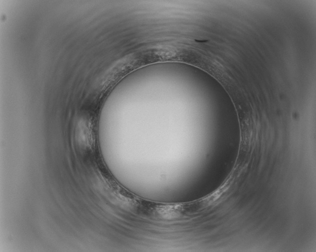 X0000057080136200509161613