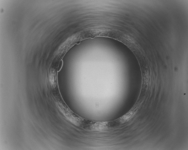 X0000057080138200509161613