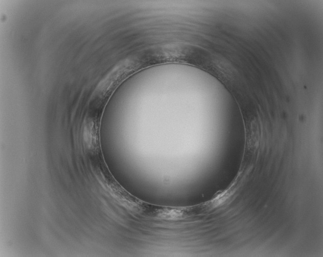 X0000057080140200509161613