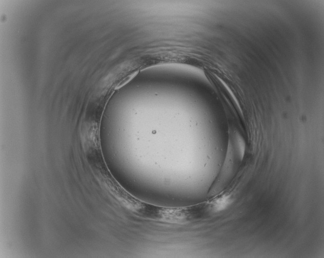 X0000057080141200509161613