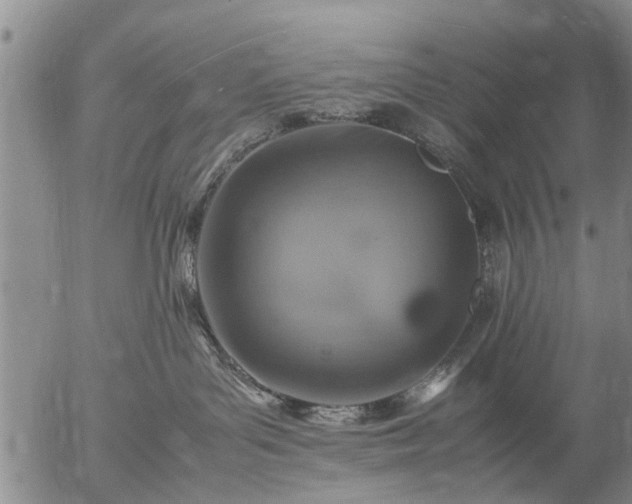 X0000057080143200509161613