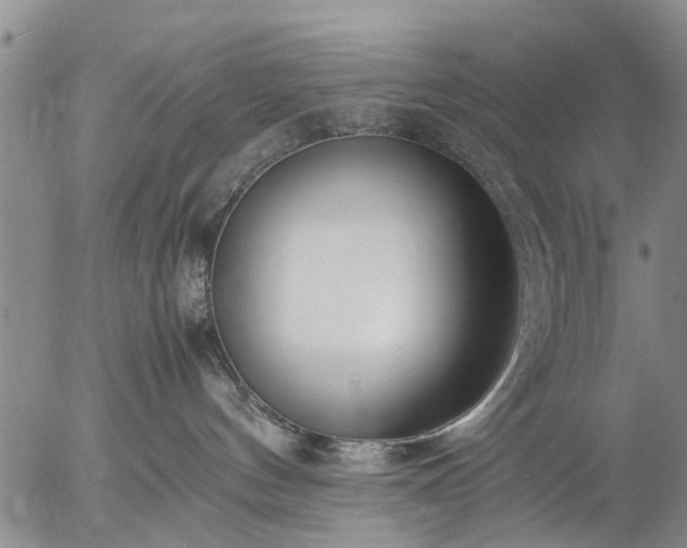 X0000057080144200509161613