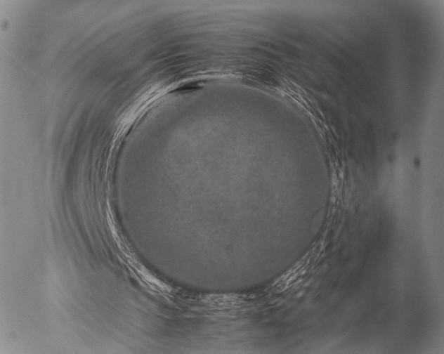 X0000057080145200509161613