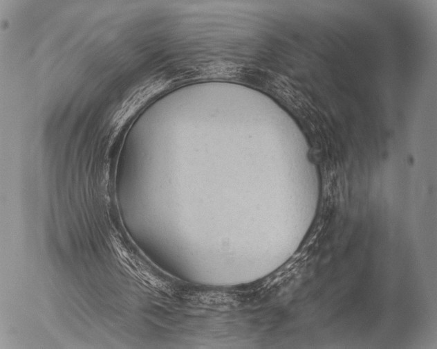 X0000057080146200509161613