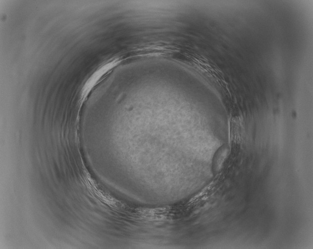 X0000057080147200509161613