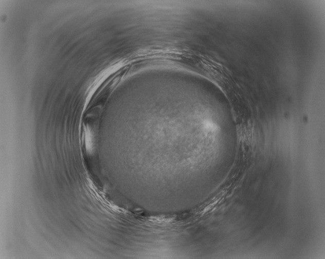 X0000057080148200509161613