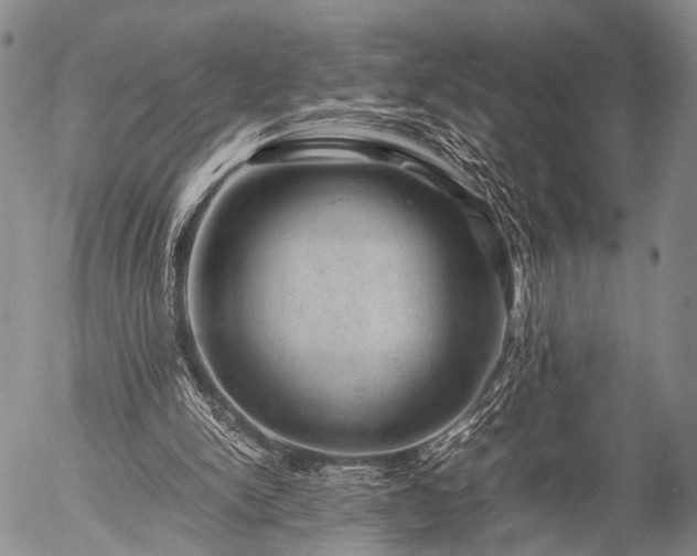 X0000057080150200509161613