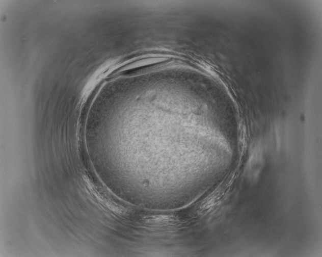 X0000057080151200509161613