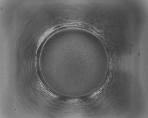 X0000057080152200509161613