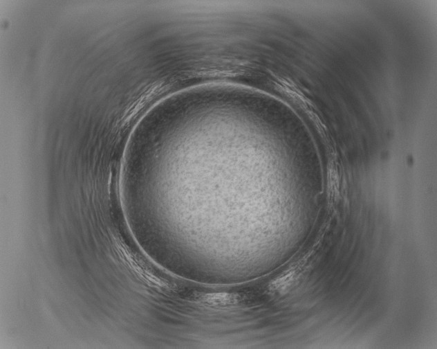 X0000057080153200509161613