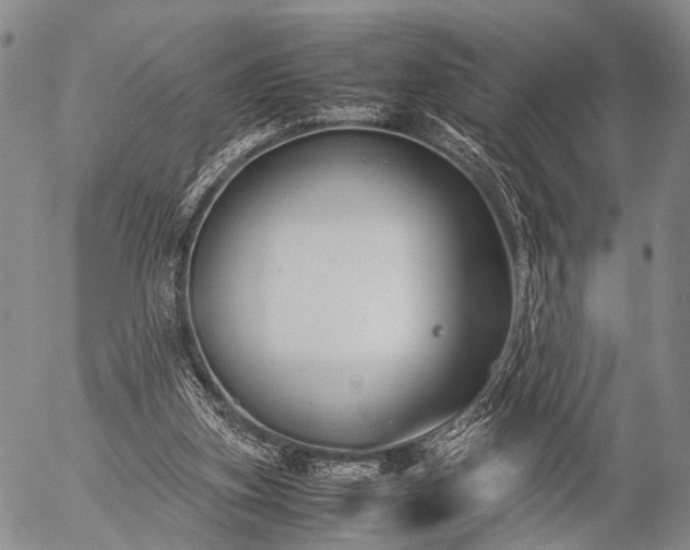 X0000057080155200509161613