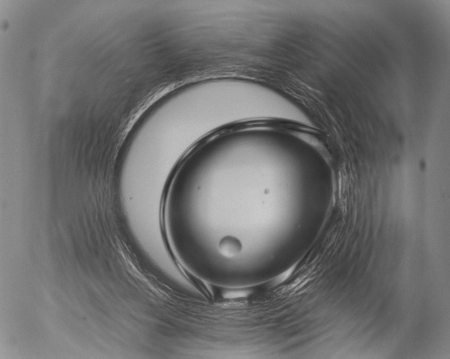 X0000057080156200509161613