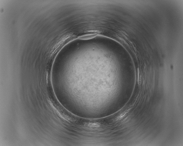 X0000057080157200509161613