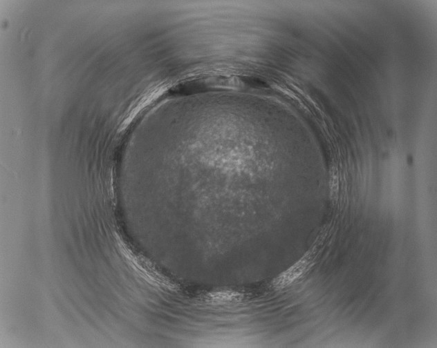 X0000057080158200509161613