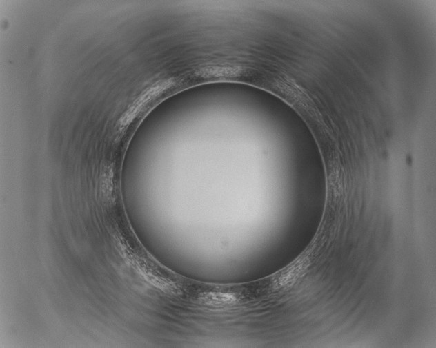 X0000057080159200509161613