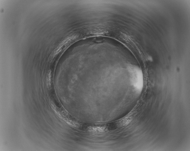 X0000057080163200509161613