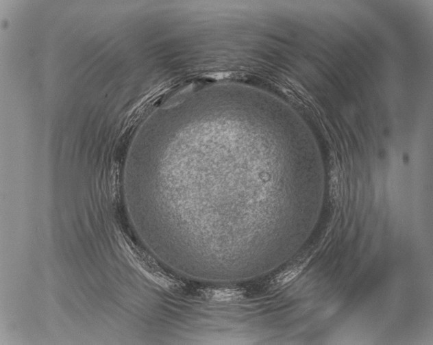 X0000057080165200509161613