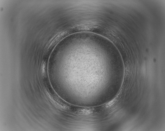 X0000057080166200509161613