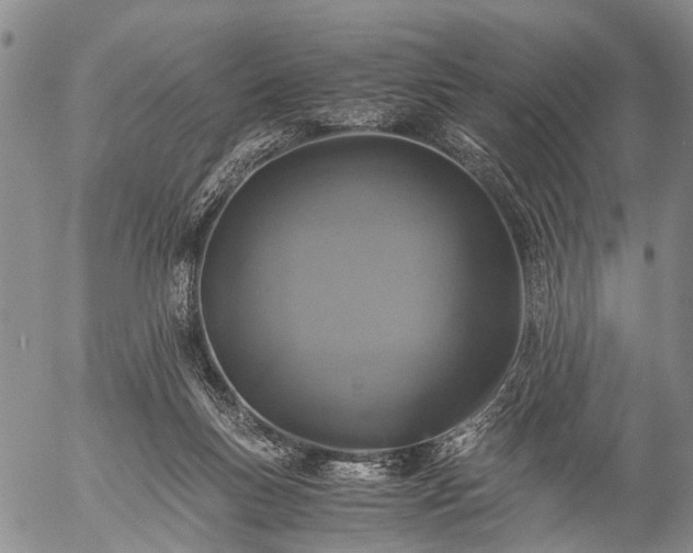 X0000057080167200509161613