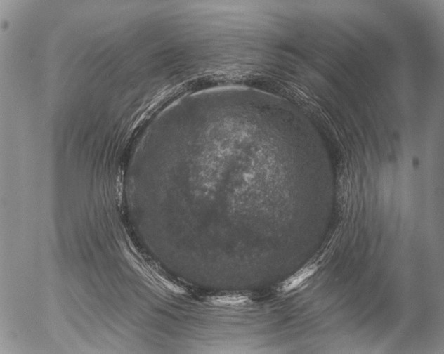 X0000057080168200509161613