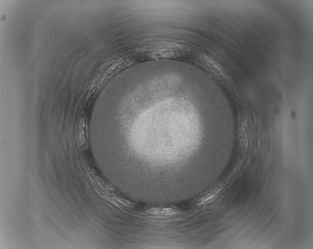 X0000057080169200509161613