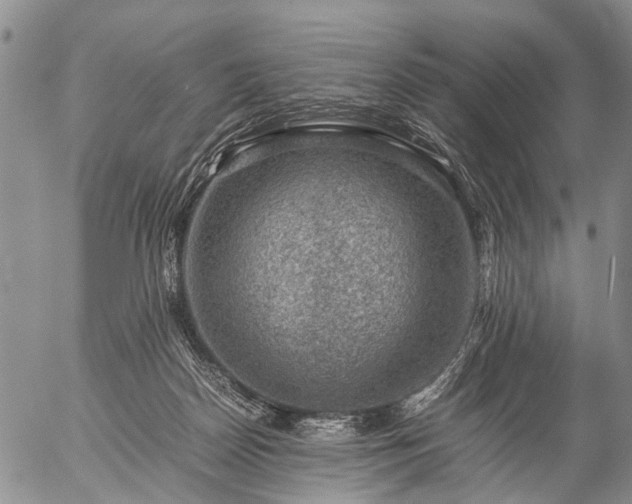 X0000057080170200509161613