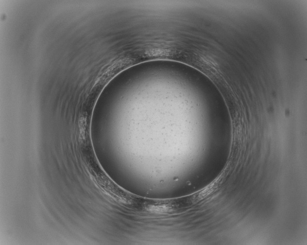 X0000057080171200509161613