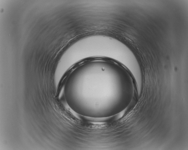 X0000057080172200509161613