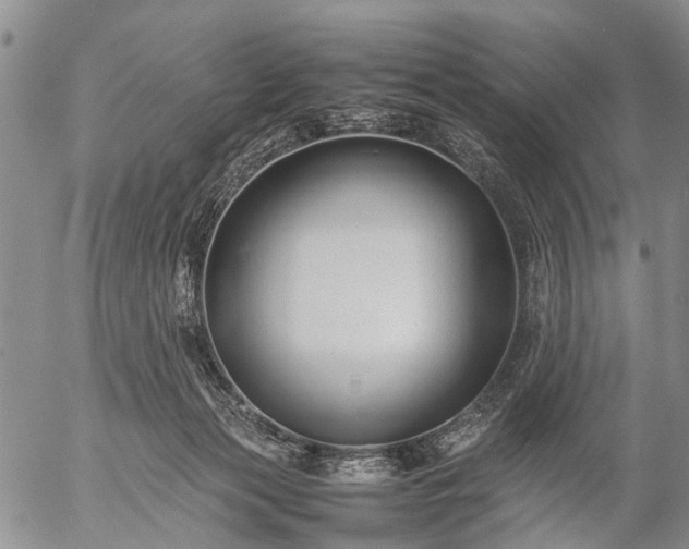 X0000057080173200509161613