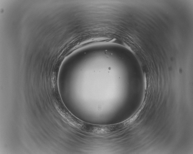 X0000057080174200509161613