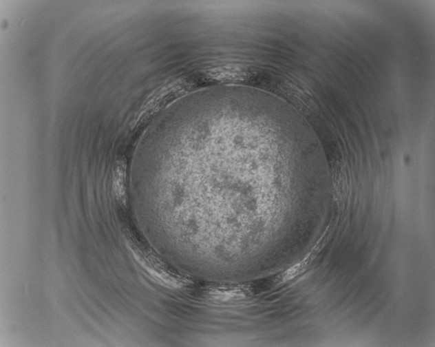 X0000057080175200509161613